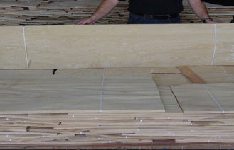 الأبيض الرماد العقدة الخشب صفائح القشرة عن الحرف، الخشب الطبيعي