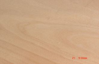 طبيعيّ أصفر Okoume قشرة, 0,20 mm - 0,60 mm دوّار قطعة قشرة