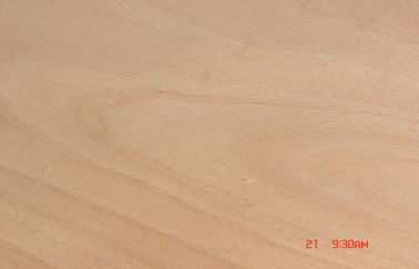 أصفر دوّار قطعة Okoume قشرة لخشب مضغوط, 0,2 mm - 0,6 mm سماكة