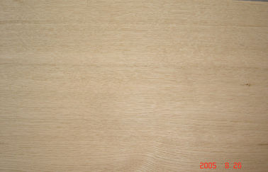 light-brown بلوط قشرة صفح يشرّح قطعة, 3 بوصة خشبيّ قشرة لوح