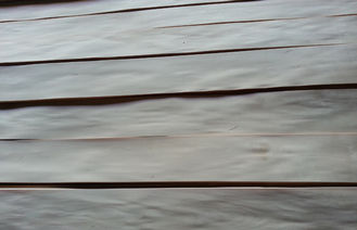 الزخرفية البتولا الخشب الرقائقي القشرة الطبيعية مع ولي العهد قص الحبوب