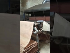 الخشب الطبيعي PLB الروتاري قطع القشرة ورقة