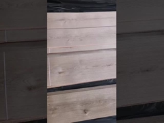 عقدة قشرة البلوط الأبيض الأمريكي