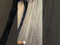 القشرة المقطوعة من الجوز