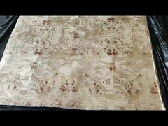 القشرة من البوبلر بورل A