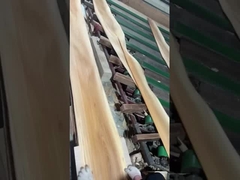 قطع التاج من قشرة القيقب