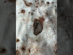 ميبا بورل فنير