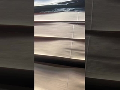 البلوط الأبيض