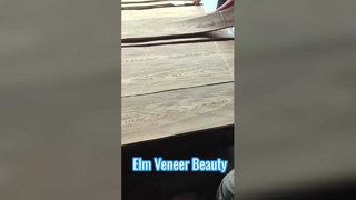 قشرة قطع تاج الدردار