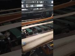 قشرة البلوط الأحمر