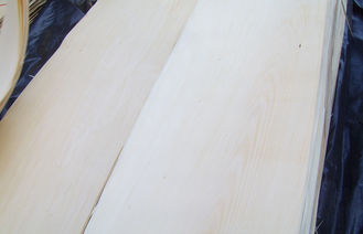 Basswood طبيعيّ دوّار قطعة قشرة MDF لخشب رقائقيّ