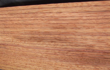 Santos خشب ورد ربع قطعة قشرة مع حبة دقيق مستقيم