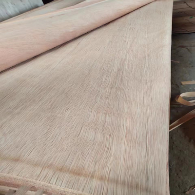 الخشب الطبيعي الروتاري قطع القشرة ورقة PLB مع 0.15-0.3mm للخشب الرقائقي