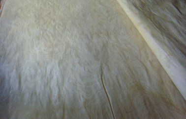 أبيض / براون البتولا روتاري قطع القشرة الخشبية، مبطن القيقب القشرة