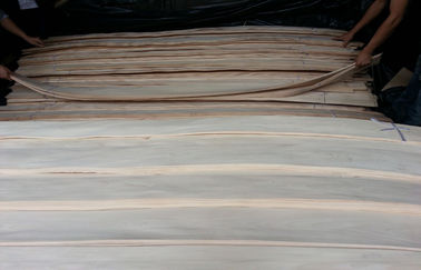 AA الصف ابيض / أبيض بيرش الخشب القشرة الروتاري قص العمرانية