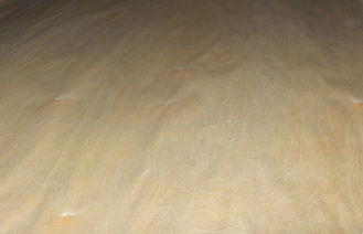 تاج قطعة بتولا قشرة خشبيّ ذهبيّ مع 0.5mm سماكة لجدار لوح