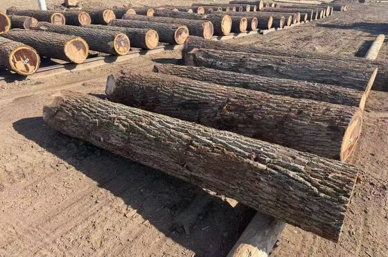 أوراق التشطيب البلوط مع نمط الحبوب التاج في 0.2-0.6mm السماكة وحتى 1220mm العرض للأثاث والديكور