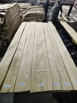ورقة قشرة إلم روسي عالية الجودة مقطوعة بشكل ربعي ومقطوعة بشكل تاج للأثاث والديكور