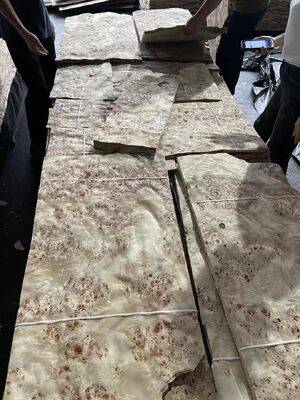 0.5 ملم سمك مقطعة مقطعة Mappa Burl الأوراق الخشبية للتزيين الفندقية