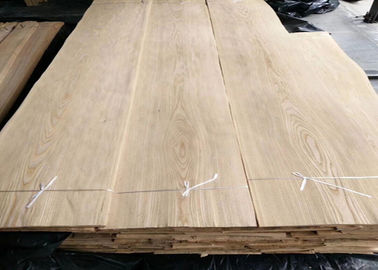 التاج الطبيعي البيئي قطع خشب الدردار القشرة ورقة مع سمك 0.5 مم