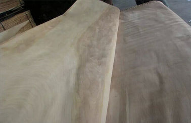 طبيعيّ دوّار قطعة بتولا عمليّة قطع قشرة خشبيّ درجة لأثاث لازم