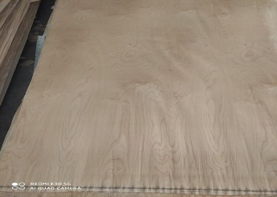 صفائح من خشب البتولا الأبيض المقطوع بالصف الروتاري 0.18 مم 0.22 مم