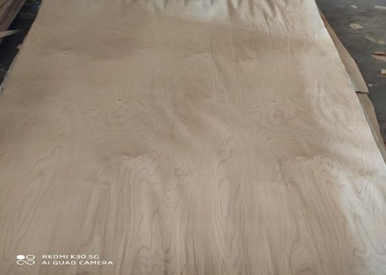 صفائح من خشب البتولا الأبيض المقطوع بالصف الروتاري 0.18 مم 0.22 مم