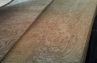 الروتاري قطع العقدة قشرة الخشب صفائح الديكور سمك 0.5 مم